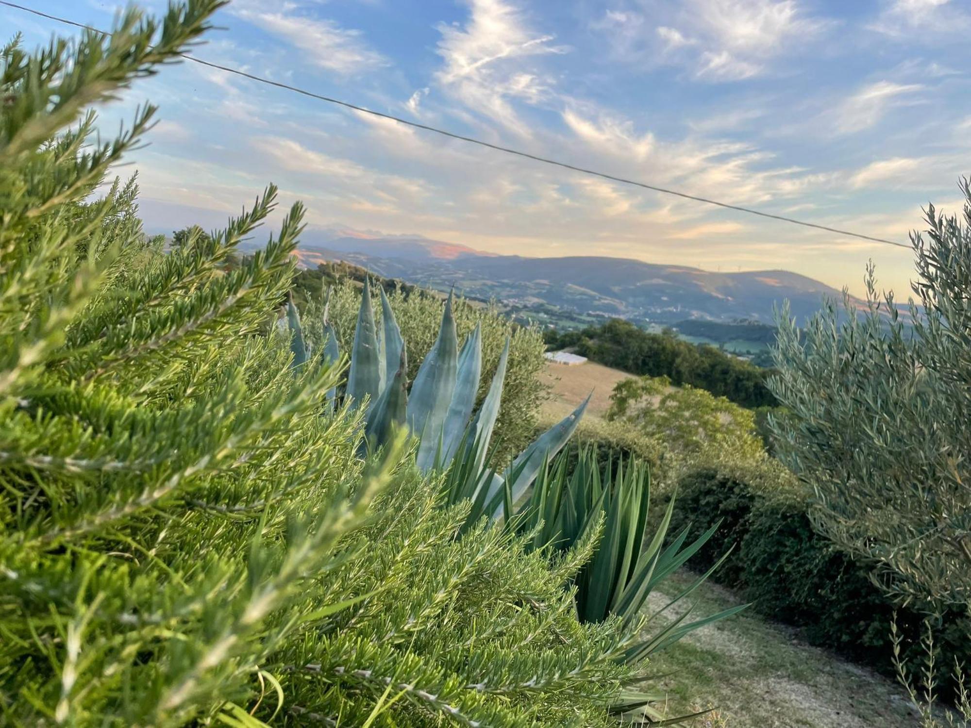 סן סברינו מארקה Agriturismo Villa Rosetta מראה חיצוני תמונה