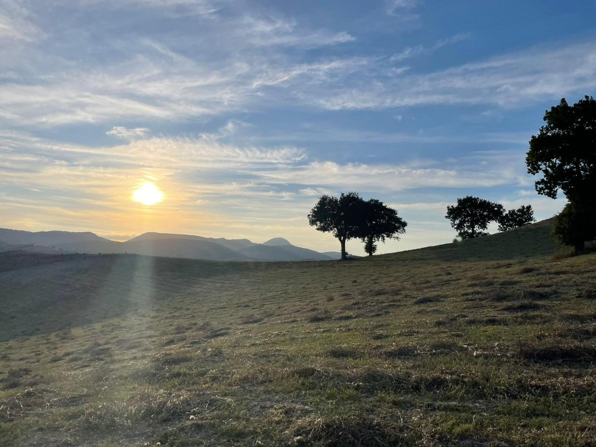 סן סברינו מארקה Agriturismo Villa Rosetta מראה חיצוני תמונה