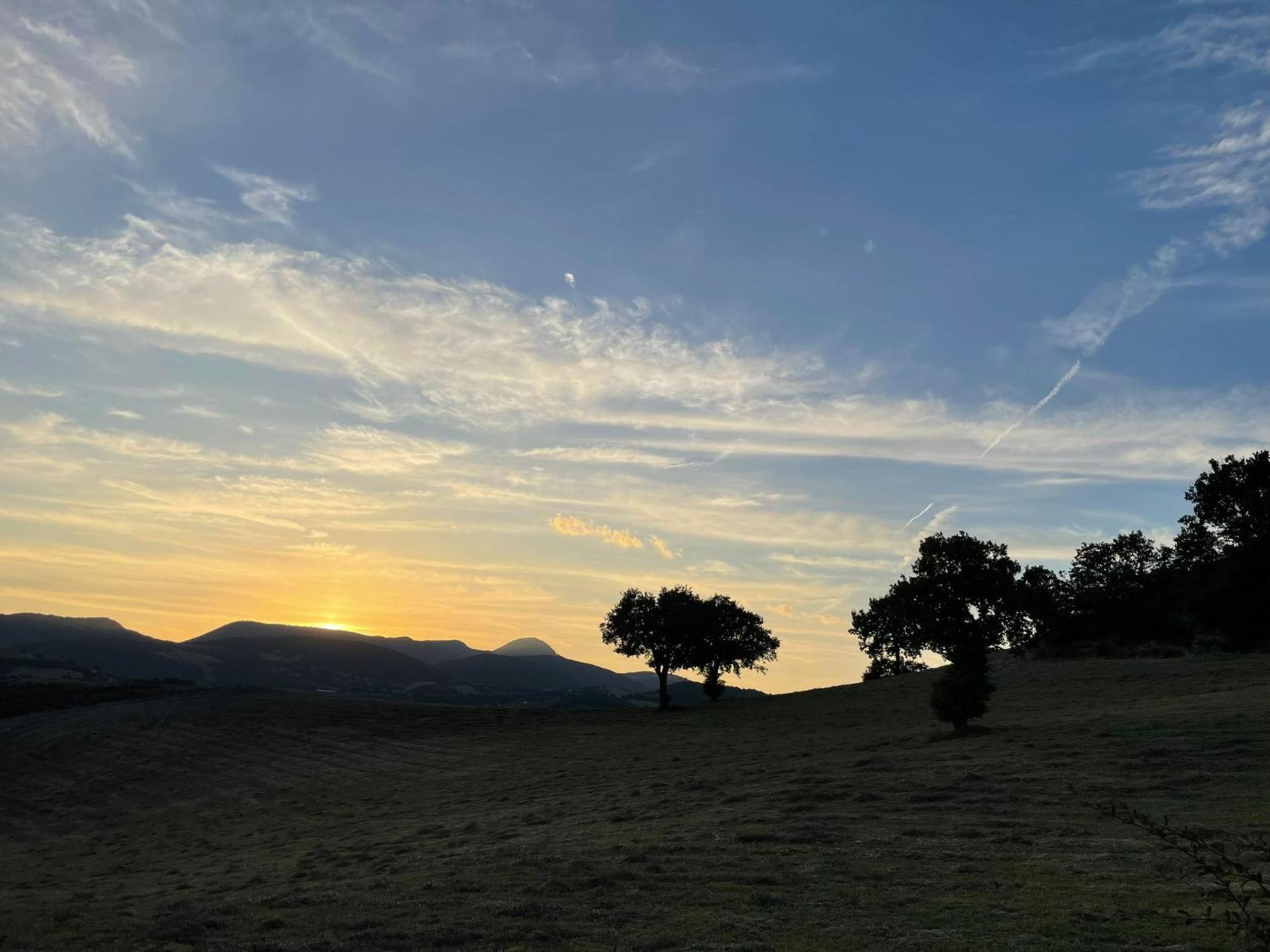 סן סברינו מארקה Agriturismo Villa Rosetta מראה חיצוני תמונה