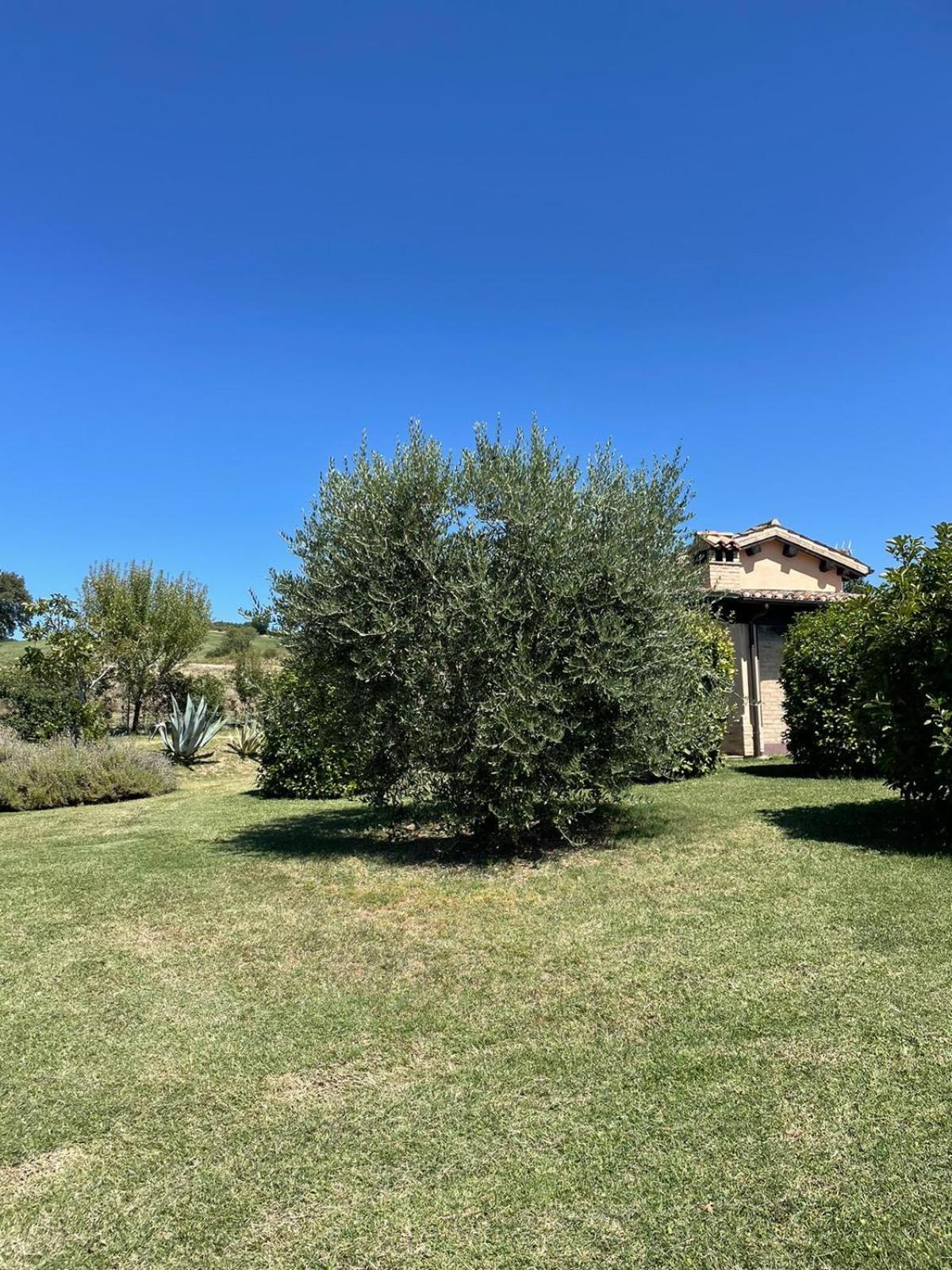 סן סברינו מארקה Agriturismo Villa Rosetta מראה חיצוני תמונה