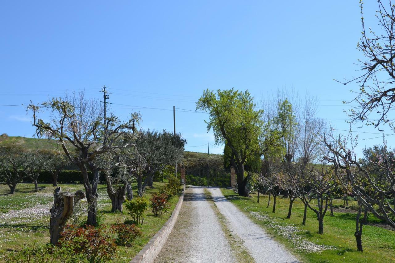 סן סברינו מארקה Agriturismo Villa Rosetta מראה חיצוני תמונה