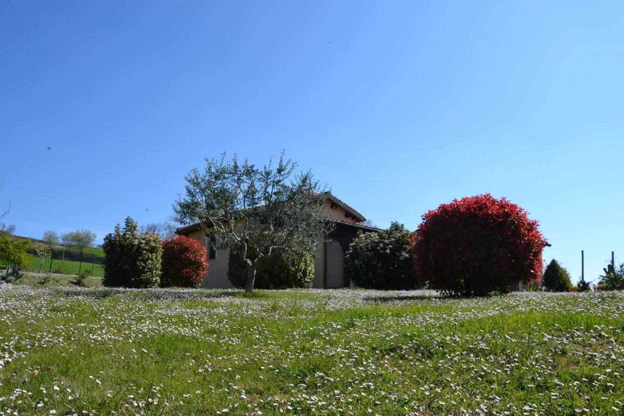 סן סברינו מארקה Agriturismo Villa Rosetta מראה חיצוני תמונה